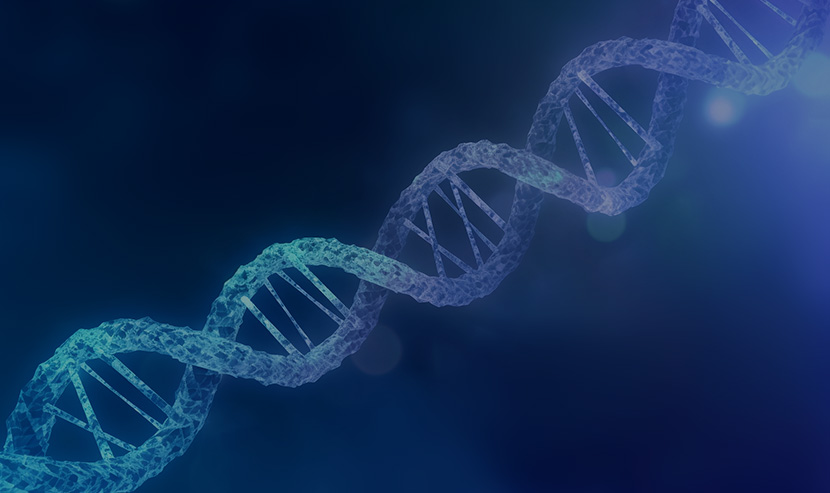 生物科技网站案例 | 微生物资讯网